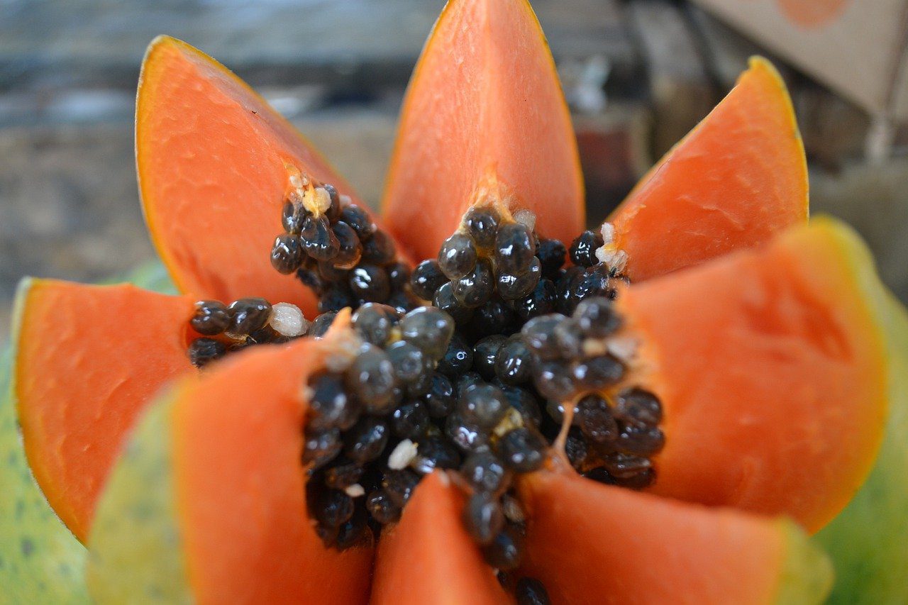 semillas de papaya