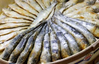 Arenques: una comida de dioses arenques