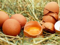 Huevo: ¿cuánto de sano es? huevo