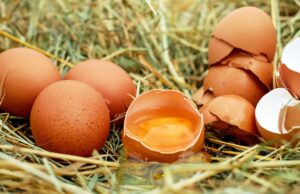 Huevo: ¿cuánto de sano es? huevo
