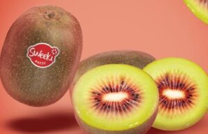 Llega el kiwi rojo