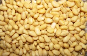 La exquisitez y excelencia del piñón