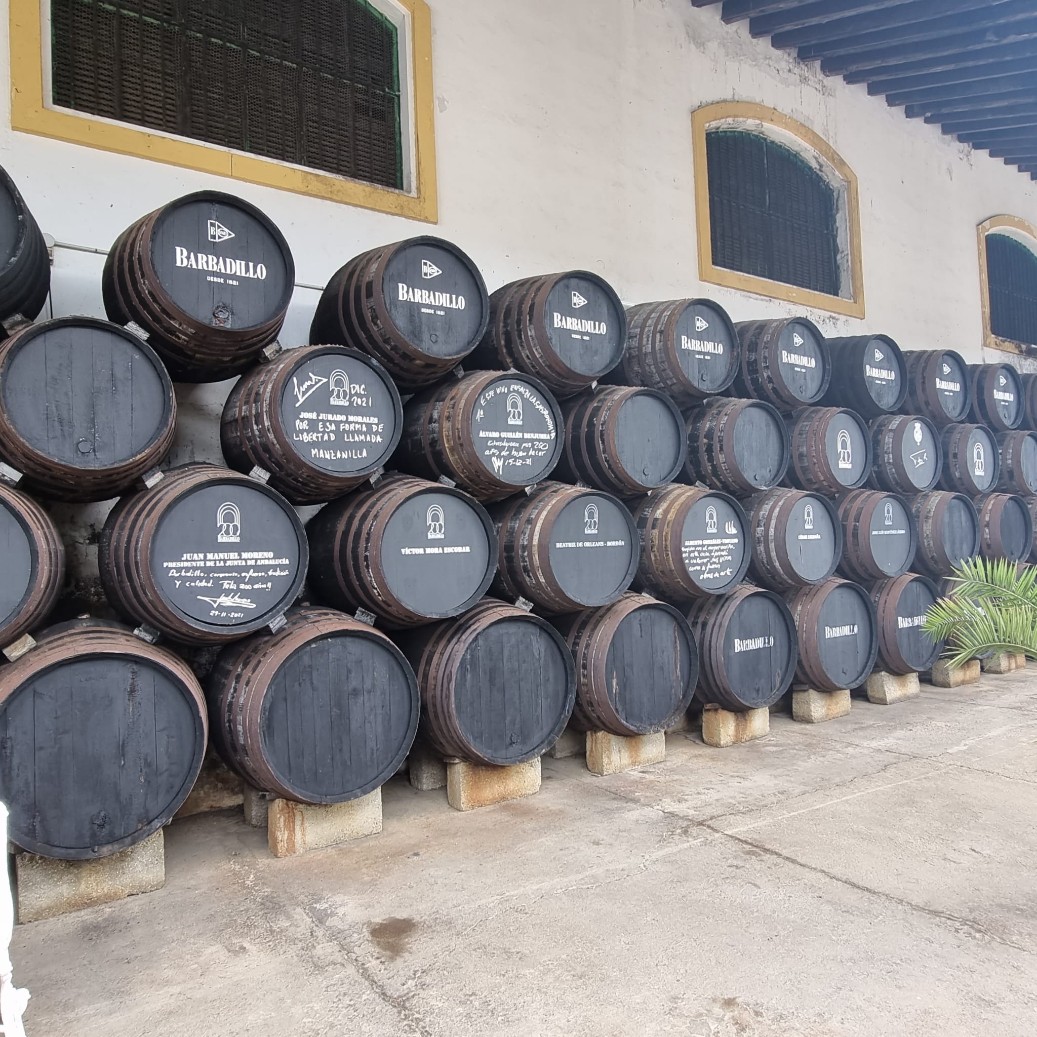 Barbadillo Winery. Source: MU
