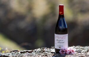 Secret del Priorat 2019, entre los mejores vinos del 2022