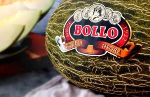Fremman Capital compra Bollo