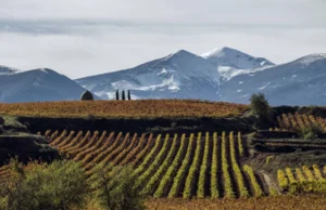 Rioja anfitriona de los World’s Best Vineyards