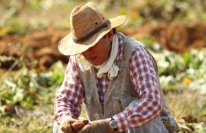 Salvad a los productores sostenibles