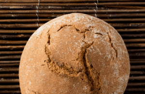 Trigo Xeixa, en vías de recuperación Pan de Xeixa. Fuente Esforn