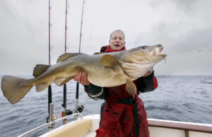 Comienza la temporada de Skrei.