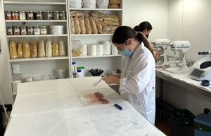 Heura: nuevos métodos para crear productos con más proteínas y menos grasas.