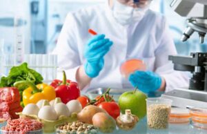 La innovación alimentaria, cambios en las comidas.