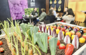 Barcelona y la biodiversidad
