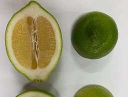 Ahora limón sin semillas