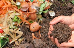 ¿Y si hacemos compost ?
