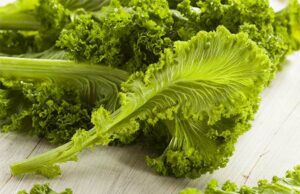 Hojas de mostaza en la gastronomía