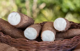 Descubriendo la yuca