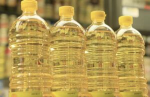 Aceite de girasol, el aliado necesario