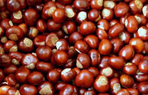 Maneras deliciosas de cocinar castañas