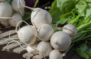 Cómo cocinar el nabo y sus beneficios