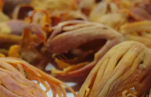 El uso en cocina de la especia macis