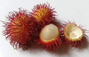 Rambután , el fruto erizo