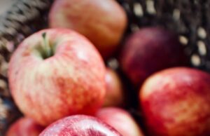 El regreso de los sabores olvidados