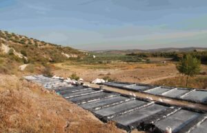 Las magníficas salinas de Vadofresno de Baena