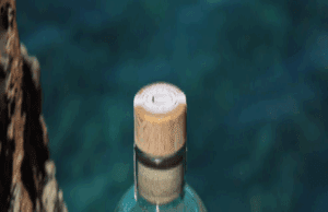 Sa Tuna Gin, la ginebra que esta triunfando