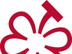 Nacen las Uvas Michelin, la nueva distinción para bodegas y viñedos