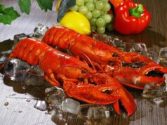 Reino Unido prohíbe hervir vivos a langostas y pulpos: ética animal y tradición gastronómica frente a frente