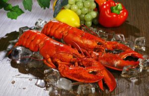 Reino Unido prohíbe hervir vivos a langostas y pulpos: ética animal y tradición gastronómica frente a frente