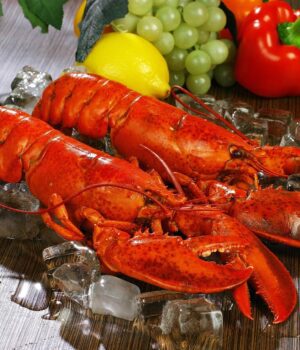 lobster-1527602_1280
