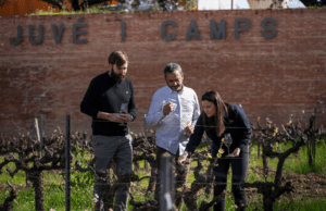 Juvé & Camps se suma a Corpinnat y deja la D.O. Cava