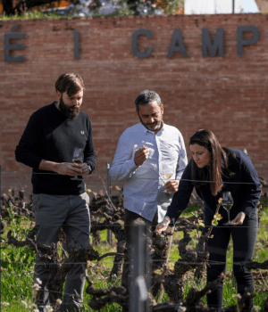 juvecamps