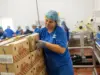 La Fageda: cuando el éxito de un yogur se mide también por su valor social