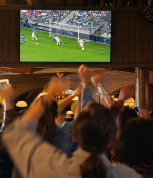 bares-futbol Gorodenkoff / Shutterstock.com