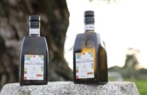 El Aceite Valle del Tiétar conquista Europa con su nueva DOP