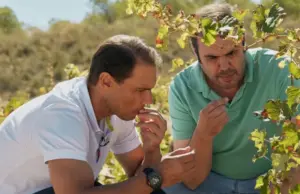 Rafa Nadal salta al mundo del vino con El Tenista